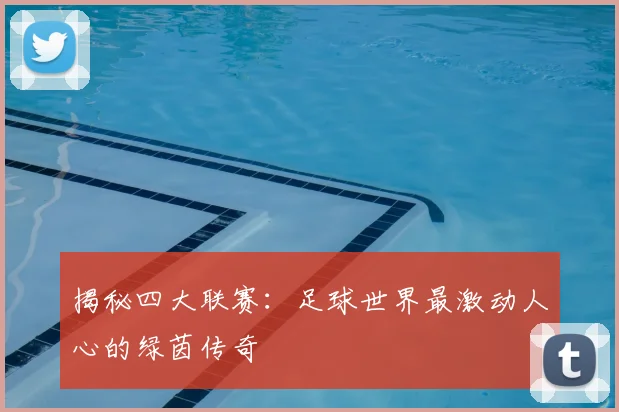 揭秘四大联赛：足球世界最激动人心的绿茵传奇